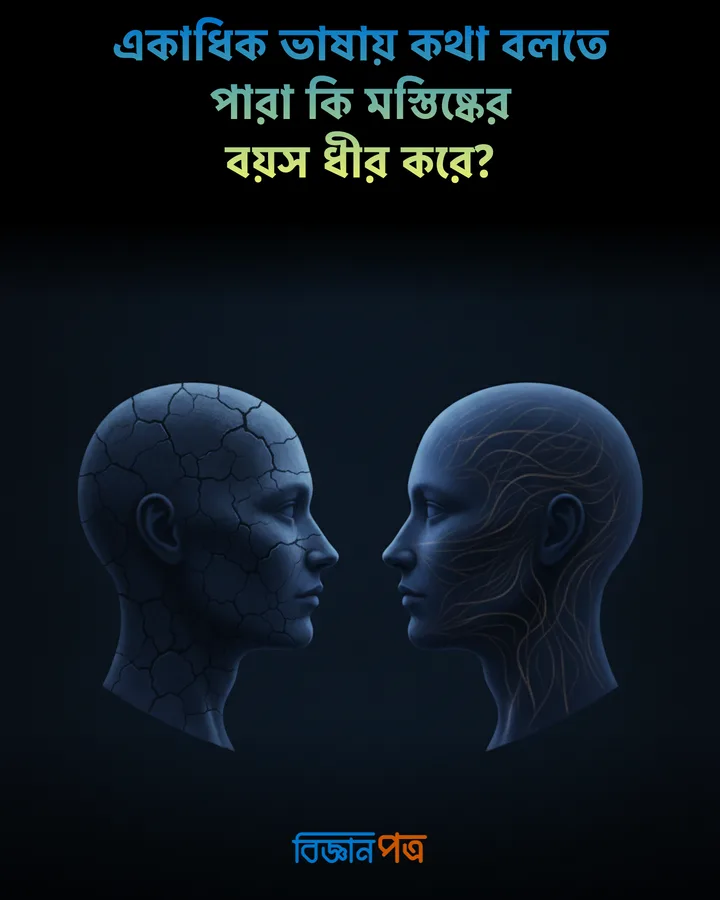 একাধিক ভাষায় কথা বলতে পারা কি মস্তিষ্কের বয়স ধীর করে?