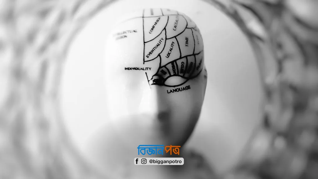 সিদ্ধান্ত তৈরি হয় উপলব্ধি, চলন ও পরিবেশের মিথস্ক্রিয়ায়, দাবি নতুন তত্ত্বের