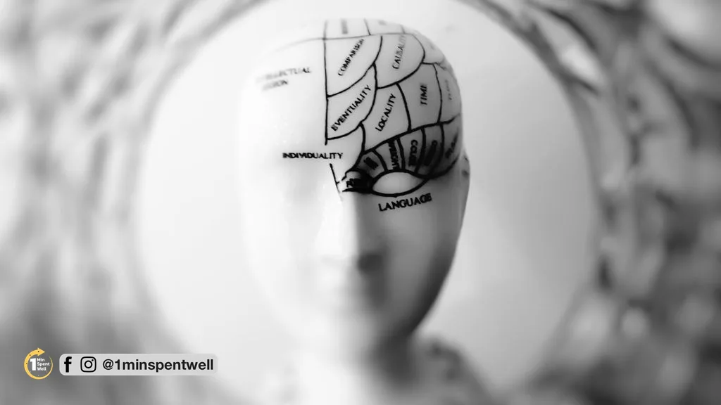Neuroscientist Challenges the Idea of a Central Decision-Making Brain Region